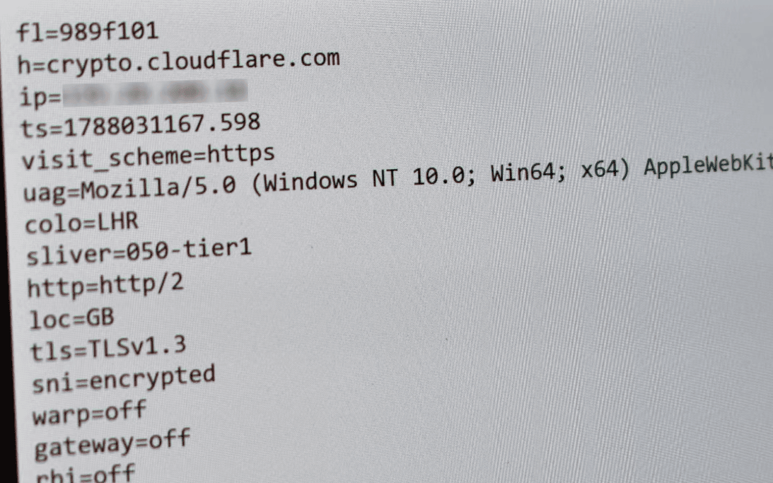 ECH, ziyaret ettiğiniz alan adını internet sağlayıcınızdan gizleyebilir; ancak VPN değildir