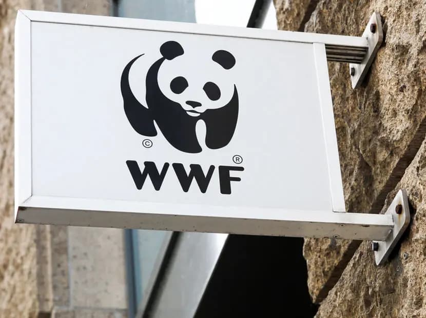 WWF-Türkiye’den Uyarı: 1.8 Dünya varmış gibi tüketiyoruz