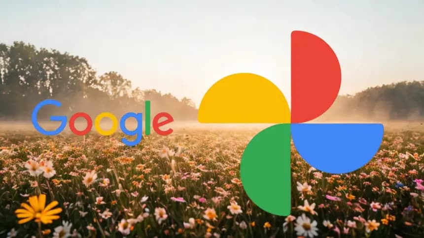 Google Fotoğraflar onuncu yılını yeni özelliklerle kutluyor