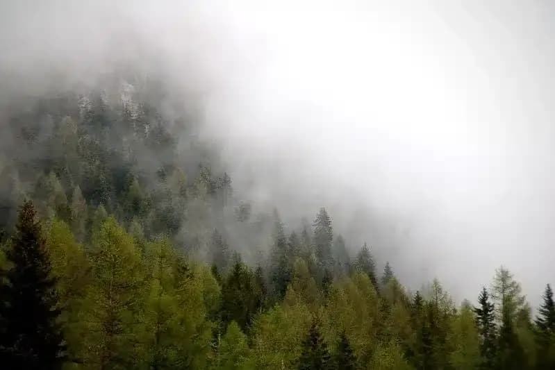 Fog Rendering Issue: Nedenler ve Çözümler