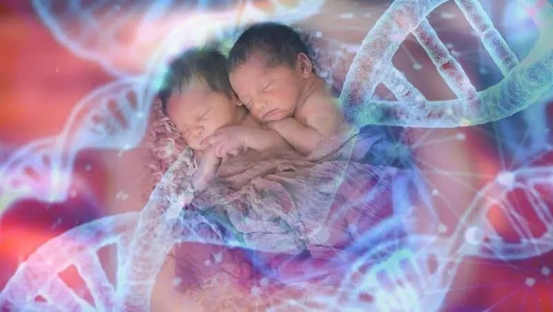 Dünyanın Genetiği Değiştirilmiş İlk Bebekleri Lulu ve Nana İle Gündeme Gelen He Durmuyor!