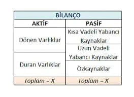 Bilanço Nedir?