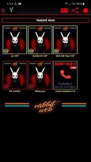 Rabbit Web'in SEO İçin Önemi: Neden Bu Kadar Önemli?