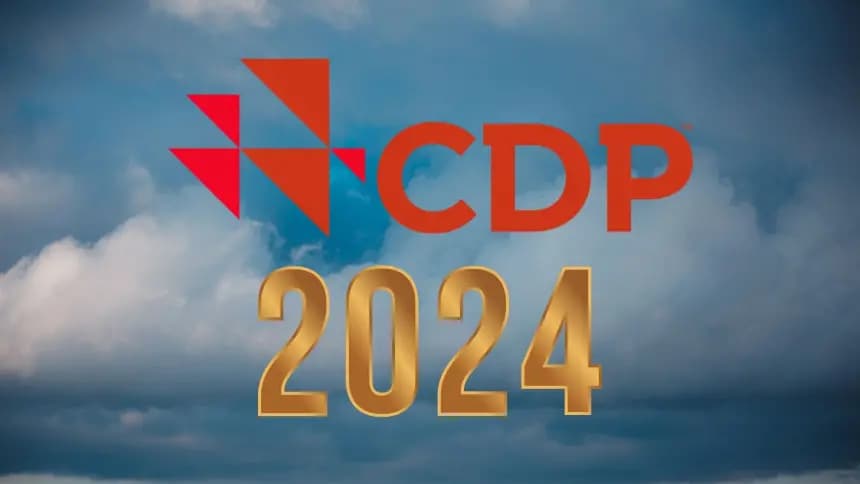 CDP’nin Türkiye’deki 2024 Verileri Ortaya Çıktı