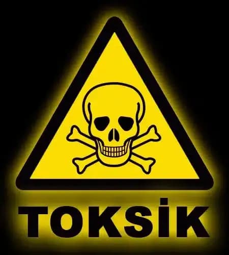 Toksik Ne Demek? Anlamı ve Kullanım Alanları
