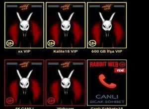 Rabbit Web’in SEO İçin Önemi: Neden Bu Kadar Önemli?