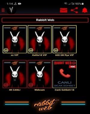 rabbit web