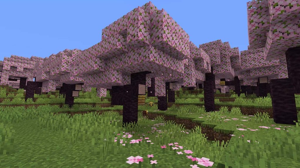 En Yeni Minecraft Seed Kodları 2024