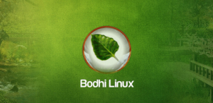 bodhi-linux-logo-300x146.png