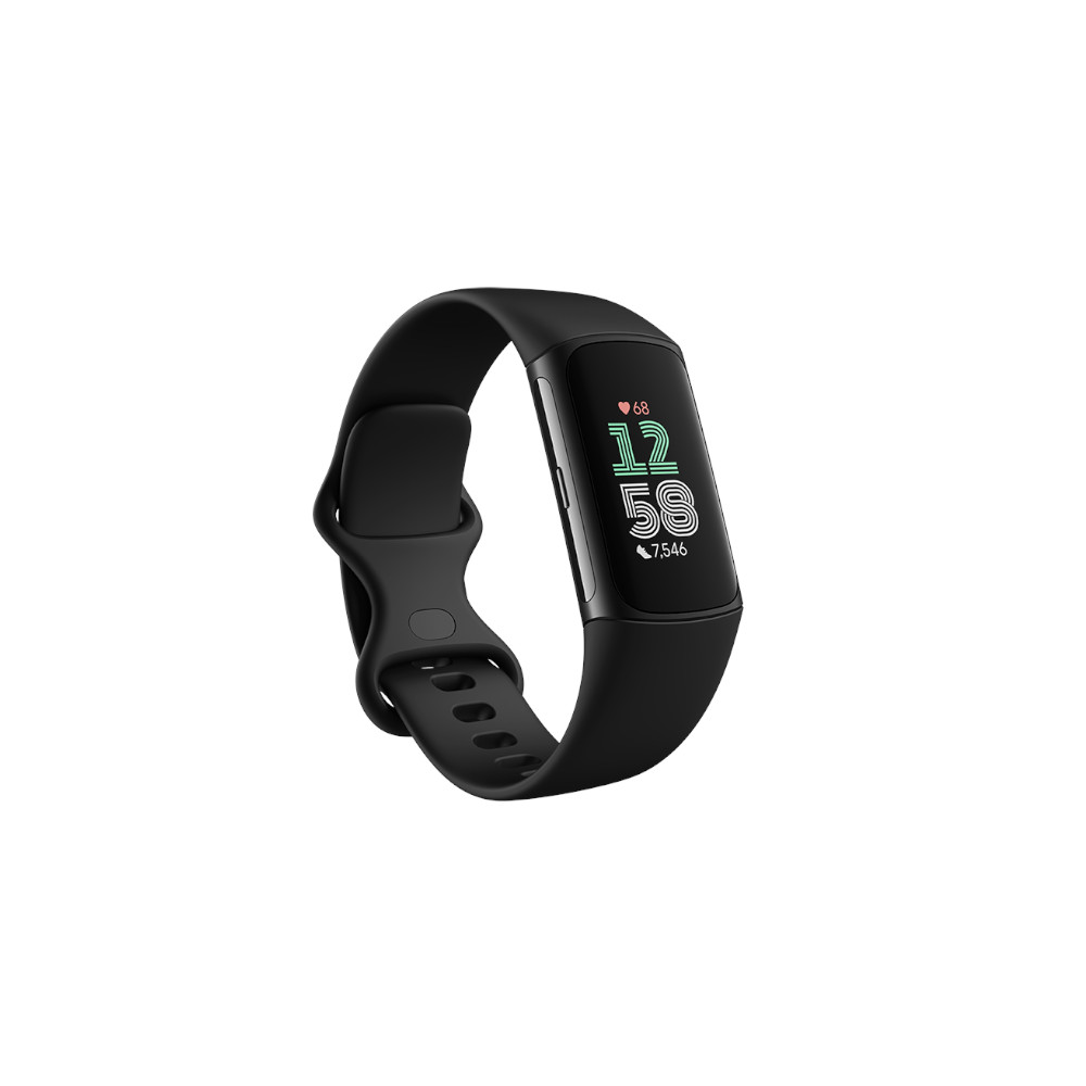 Fitbit Şarjı 6