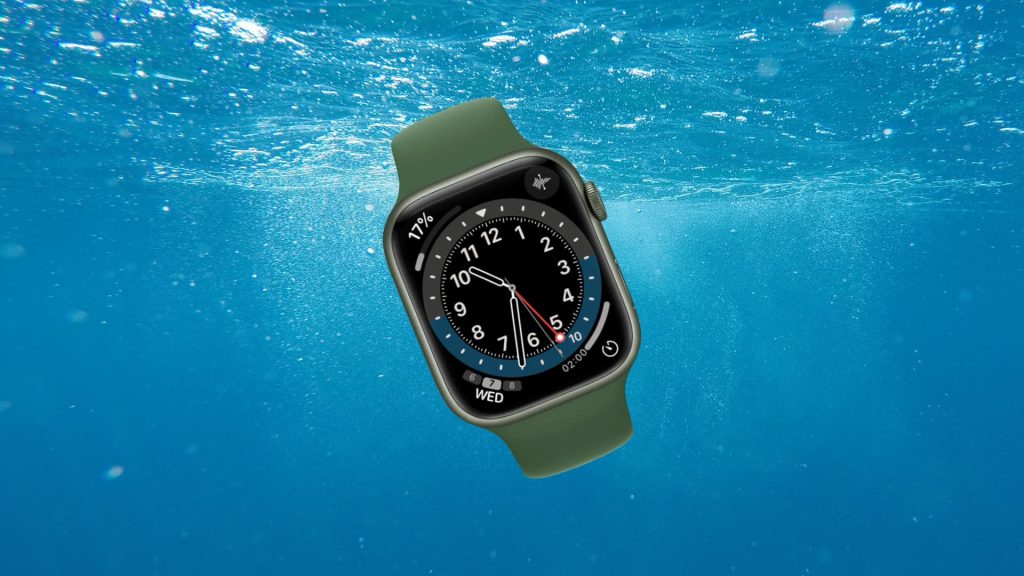 Okyanusa Düşen Apple Watch, 1 Yıl Sonra Çalışır Halde Bulundu