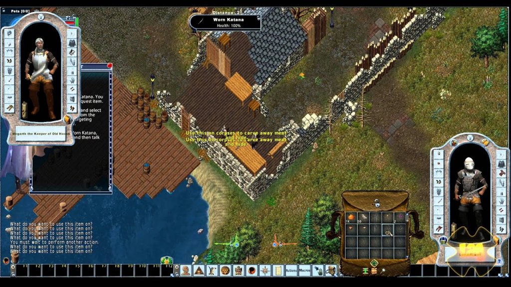 Ultima Online New Legacy Beta Kayıtları Başladı