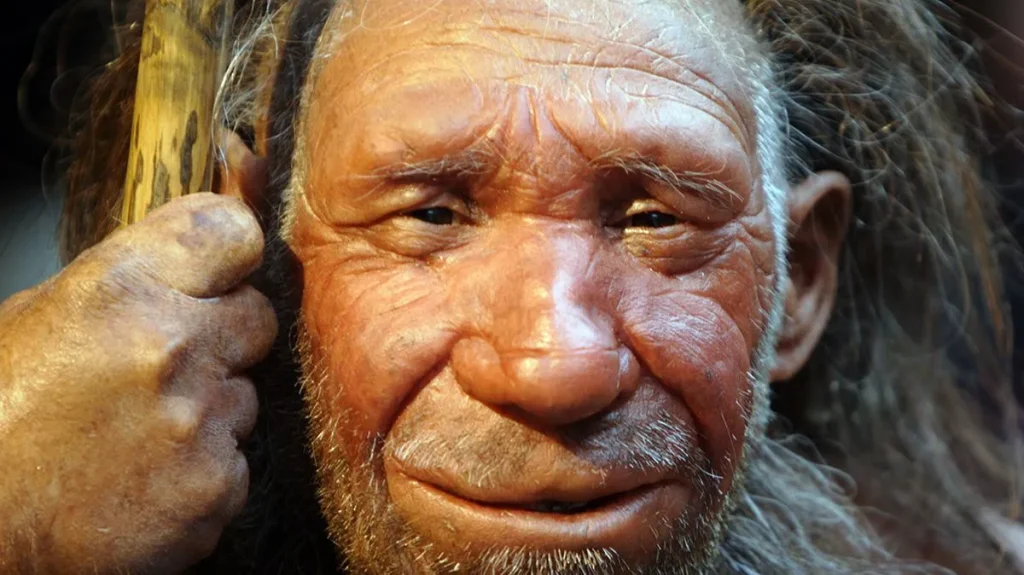 Kayıp Neanderthal Kabilesi Binlerce Yıl Boyunca İzole Yaşamış