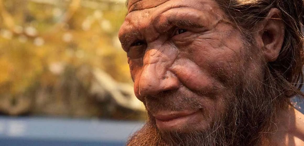 Kayıp Neanderthal Kabilesi Binlerce Yıl Boyunca İzole Yaşamış