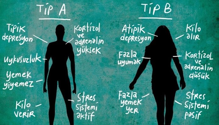 B Tipi Kişilik Özellikleri Nedir