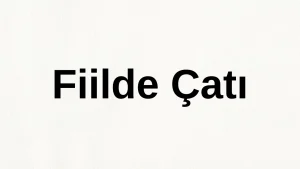 Fiilde Çatı 