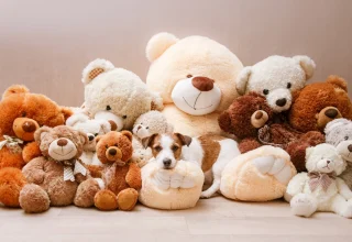 Teddy Bear Hakkında İlginç Gerçekler