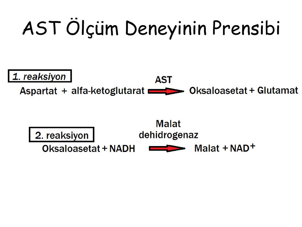 Aspartat Transaminaz (AST)