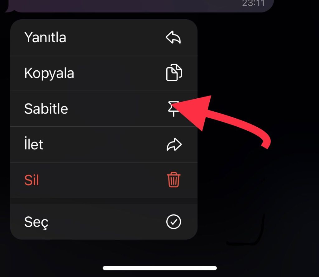 Telegramda-Mesaj-Sabitleme-3