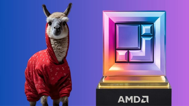 amd