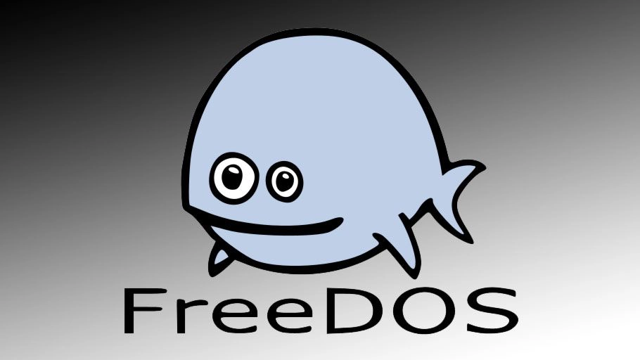 FreeDOS Ne Demek?