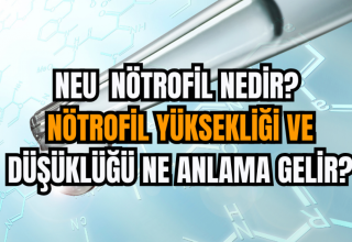 Nötrofil Yüksekliği Ne Anlama Gelir?