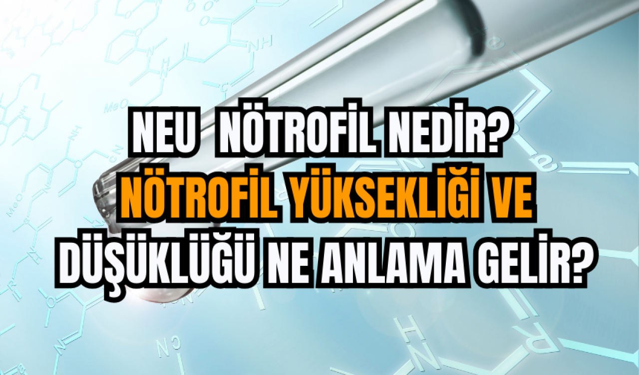 neu-notrofil-nedir-notrofil-yuksekligi-ve-dusuklugu-ne-anlama-gelir