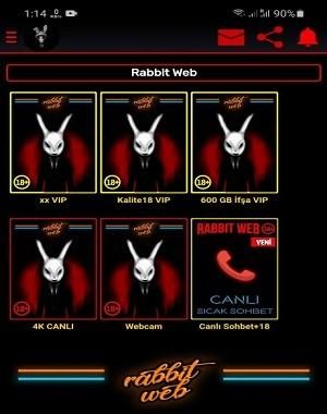 Rabbit Web: Yenilikçi Tarayıcı Teknolojisi ve Teknik Özellikler