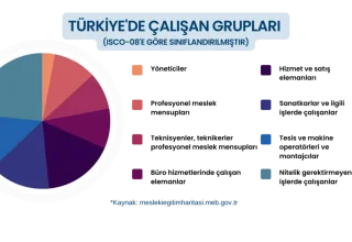 Meslekler ve Maaşlar: Hangi Meslek Ne Kadar Kazandırıyor?