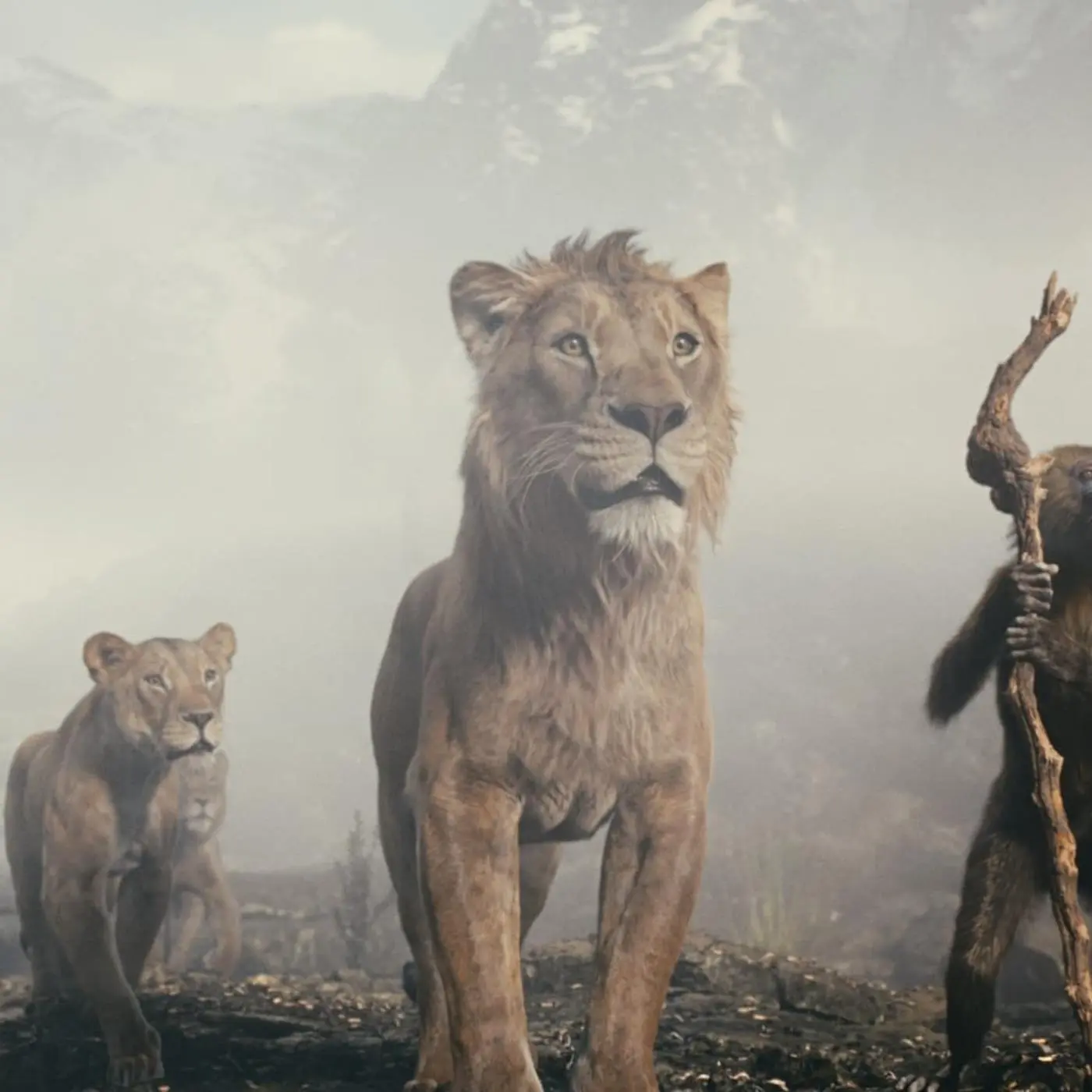 disney-aslan-kral-filminden-bir-kare