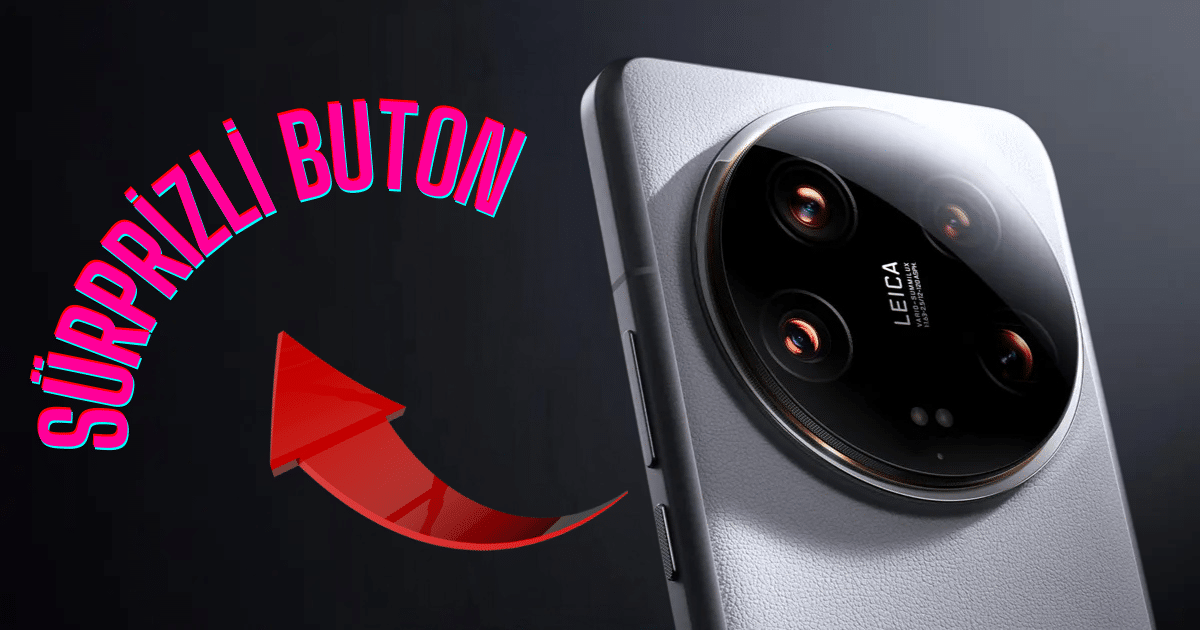 SURPRIZLI-BUTON